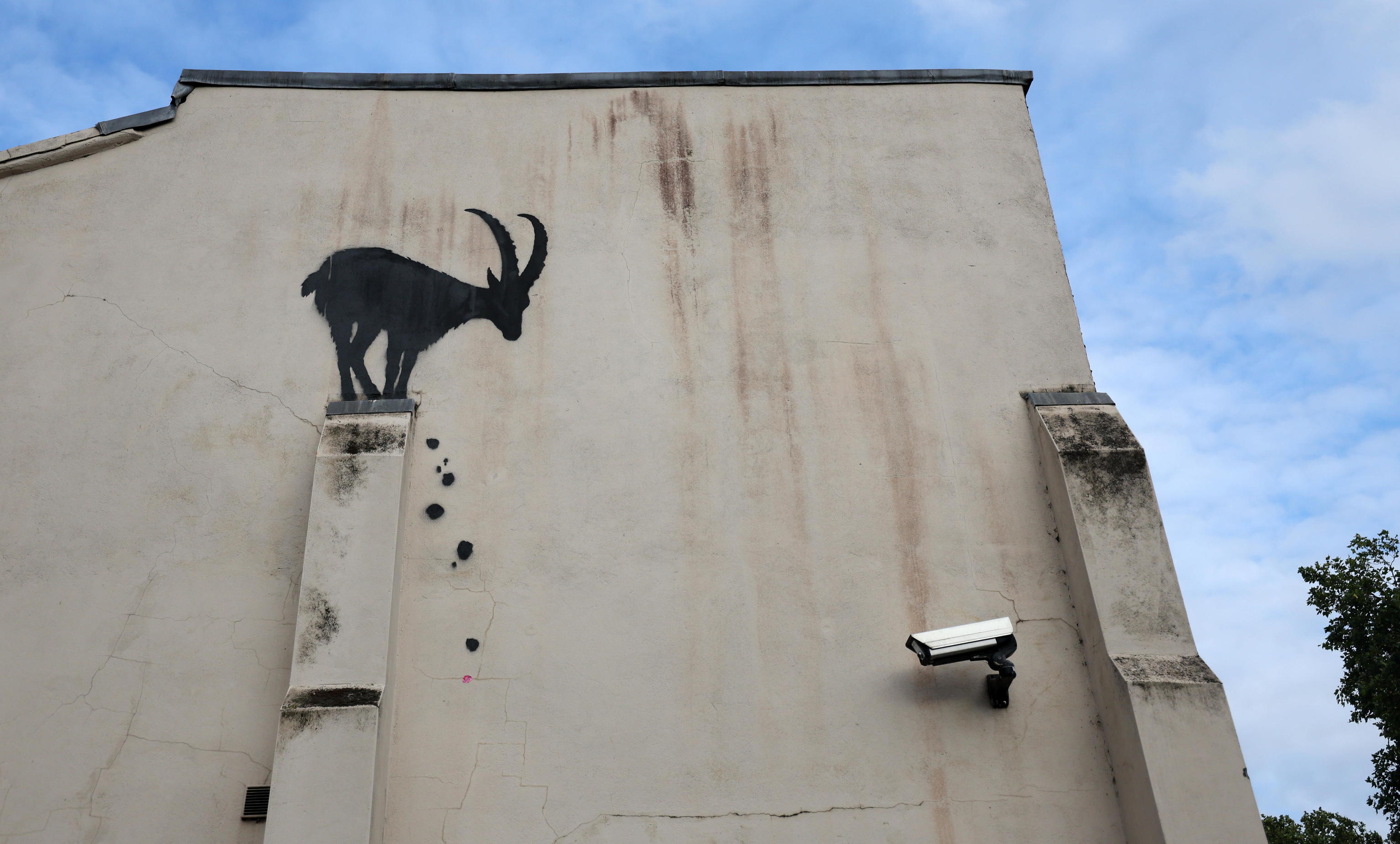 Banksy vuelve a Londres con dos obras de animales en menos de 48 horas |  Arte