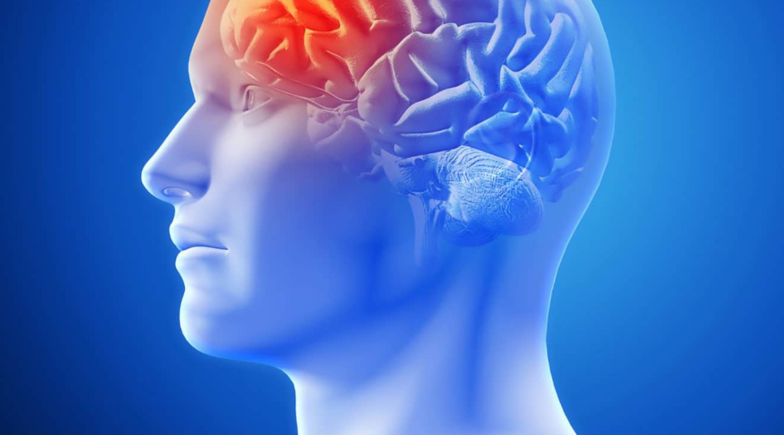 CBD May Protect Against And Relieve Brain Injury Symptoms wallpaper